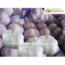 2011 kaufen China frischen weißen Knoblauch Preis